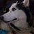 Heather Quinn's profile image