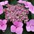 Gaile Pare's profile image