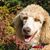 Claudia Beriou Jacob's profile image