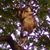 Dewayne Skaggs's profile image