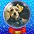 Zoya Rallis's profile image