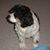 Jean Miller's profile image