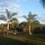 Jacqueline Viton's profile image