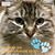 Sybil Williams's profile image