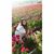 Gaby Ibarra's profile image