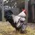 Shawn Michael Jones's profile image