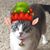 DrStacey Delgado's profile image