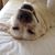 Carolyn Parenti Miller's profile image