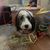 Bram Davis's profile image
