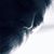 Wayne S. Williams's profile image