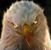 Hunter Warren's profile image