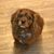 Janice Lynn's profile image