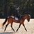 Rachel Bevins Linczak's profile image