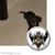 Nancy Bonzar's profile image