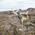 Lisa Flynn Bridle's profile image