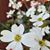 Jana Heyer's profile image