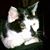 Valerie Zilinger-Natour's profile image