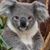 Margaret Caulfield's profile image