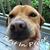 Venero Vinnie Poogie Ramos's profile image