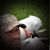 John DeArcangelis's profile image
