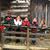Tami Schaeffer's profile image