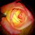 Kylie Heiser's profile image