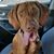 Todd Luker's profile image