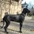 Cathie Poia's profile image