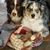 Christina Haggerty Hayes's profile image