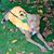 Stephen Takacs's profile image