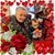 Marjorie Hewitt's profile image