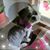 Catherine Mager's profile image