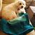 Heather Kaup's profile image