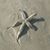 Laura Jane Geiser's profile image