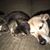 Margaret Miggy Cohen's profile image