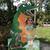 Elise Friberg Dahle's profile image