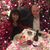 Wilma Bowers Flores's profile image