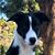 Teresa Miller's profile image