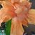 MaryJean Stensrud's profile image