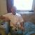 Charles Shapley's profile image