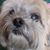Lynn Diederich's profile image