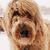 Jennifer Lukens Rickert's profile image