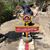 Dariush Ara's profile image