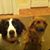 Deirdre Cotter's profile image