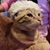 Arianna Van Heusen's profile image