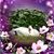 Darlene Schildt's profile image