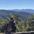Kelly Wiedenbeck's profile image