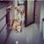 Amalia Basile's profile image