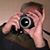 Joe Macaluso's profile image