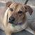 Nancy Johnson's profile image